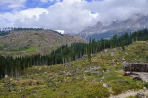 Drucke von Nach dem Sturm: Verwüstete Bergwaldlandschaft am Karersee in Südtirol, Italien. Der Wald ist von den Bäumen entblößt, die durch heftige Winde zerstört wurden Ega Drucke: Sturmzerstörung, zertrümmerter Bergwald