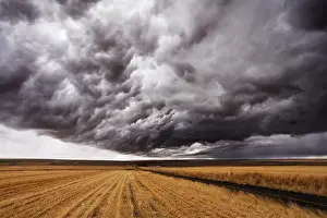 Cloudy Sky Landscape Drucke: Storm front. A huge thundercloud above fields of Montana
