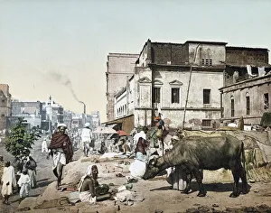 Calcutta Street Scene Drucke: Strassemszeme, it People and Cow