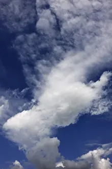 Low Angle Cloud View Drucke: Stratocumulus clouds, Germany