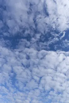 German Cloudy Skies Drucke: Stratocumulus clouds (Stratocumulus)