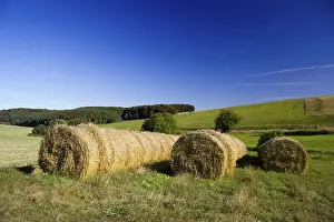 Straw Bales Drucke: Straw bales