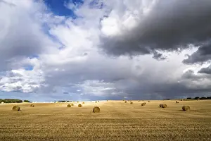 Scottish Farmland Drucke: Straw bales on the Scottish fields