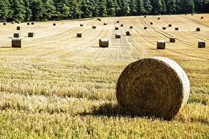 Scottish Farmland Drucke: Straw bales in the Scottish fields