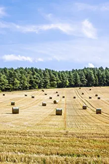 Northern Europe Countryside Drucke: Straw bales in the Scottish fields