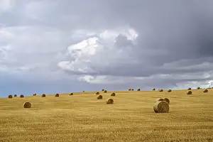 Scottish Farmland Drucke: Straw bales on the Scottish fields