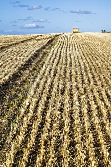 Scottish Farmland Drucke: Straw bales in the Scottish fields