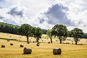 British Agricultural Landscape Drucke: Straw bales in the Scottish fields