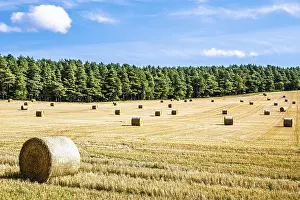 Northern Europe Countryside Drucke: Straw bales in the Scottish fields