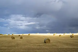Scottish Farmland Drucke: Straw bales on the Scottish fields