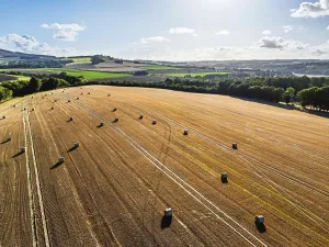 British Agricultural Landscape Photo Drucke: Straw bales in the Scottish fields from a drone