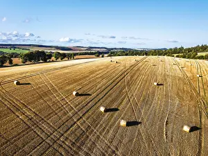 Drone Photography Scotland Drucke: Straw bales in the Scottish fields from a drone