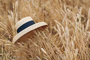 Agricultural Crop Cultivation Drucke: Straw hat in ears of wheat field