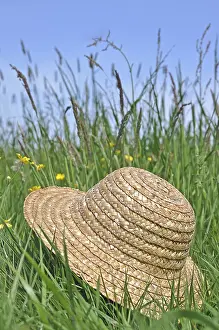 Sun Protection Headgear Drucke: Straw hat lying in a meadow