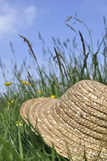 Uninhabited Grass Field Drucke: Straw hat lying in a meadow