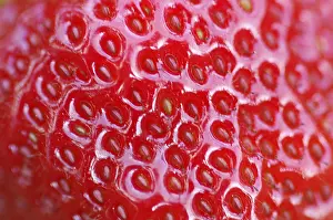 Red Strawberry Drucke: Strawbeery in detail
