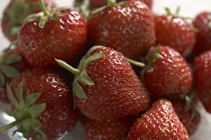 Fresh Strawberry Nutrition Drucke: Strawberries