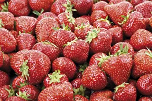 Close Up Berry Shot Drucke: Strawberries, full-frame