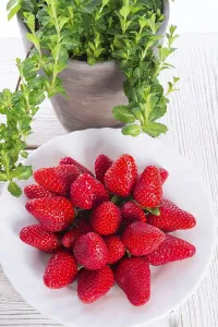 Empty Plate Foodie Drucke: Strawberries and mints