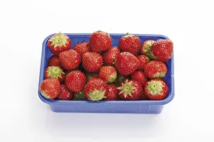 Studio Shot Of Berries Drucke: Strawberries in a plastic box