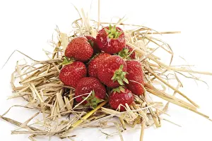 Strawberry Fruit Photography Drucke: Strawberries in straw