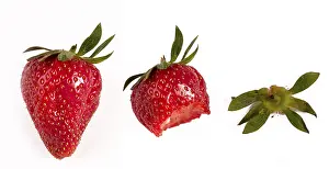 Strawberry Photography Drucke: Strawberry