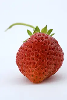 Strawberry Nutrition Facts Drucke: Strawberry