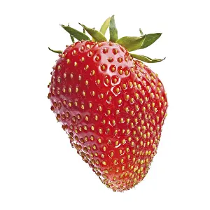 Red Strawberry Drucke: Strawberry