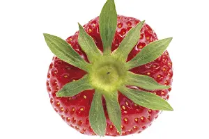 Studio Background Food Still Life Drucke: Strawberry