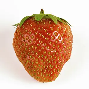 Fruity Food Photography Drucke: Strawberry