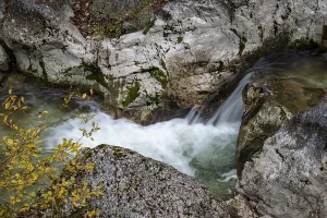 Autumn Landscape Austria Drucke: Stream in autumn in the Nothklamm