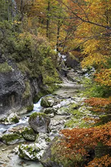 Autumn Landscape Austria Drucke: Stream in autumn in the Nothklamm