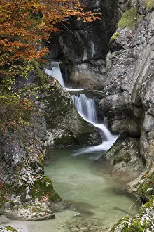 Austrian Nature Landscapes Drucke: Stream in autumn in the Nothklamm
