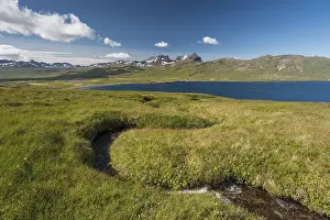Uninhabited Fiord Landscape Drucke: Stream, Borgarfjorour