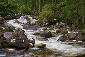 Scottish Countryside Scenery Drucke: A stream flows over rocks through a green