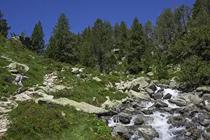 Female Hiker Drucke: Stream by the footpath to Refugi d'Amitges