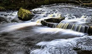 Long Term Exposure Landscapes Drucke: A Stream in a forest with long exposure