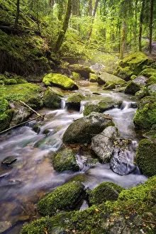 Overgrown With Moss Images Drucke: A stream in the forest with stones and moss