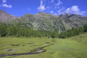 Water Body Landscape Photography Drucke: Stream meanders through a meadow