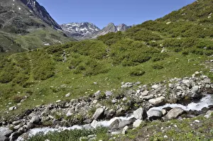 Mountain Torrent Landscape Drucke: Stream, mountain stream, Kuhtai