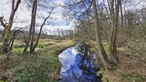 Cloudy Waterfront Scene Drucke: Stream surrounded by trees under a partly cloudy sky