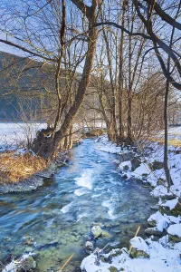 Austrian Nature Scene Drucke: Stream between trees and bushes