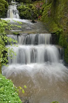 Clean Drinking Water Source Drucke: Stream, water, flowing, spring