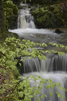 Waterfall Landscape Photo Drucke: Stream, water, flowing, spring