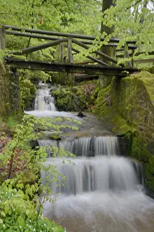 Waterfall Landscape Photography Drucke: Stream, water, flowing, spring