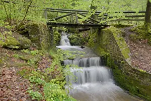 Deserted Water Source Drucke: Stream, water, flowing, spring