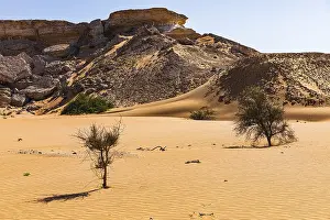 Western Asia Barren Landscapes Drucke: Striking rocks surrounded by windswept sand structures