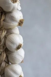 String of garlic