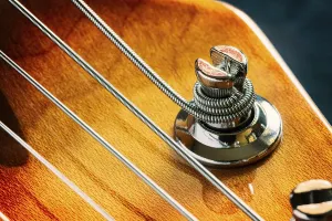 Music Instrument Details Drucke: Detail of strings and a tuning keys
