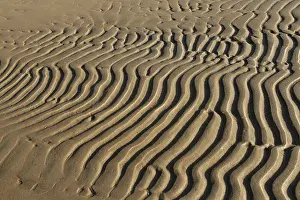 Deserted Beach Structures Drucke: Striped patterns in the sand created by wind and waves